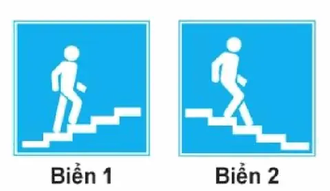 Bộ 250 Câu Hỏi Thi Sát Hạch Lái Xe Hạng A, A1- Đề Chính Thức Của Cục Cảnh Sát Giao Thông (Bộ Công An) Cau 202 hinh minh hoa